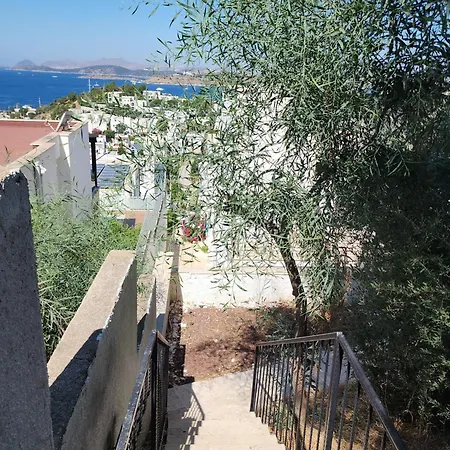 Hotel de apartamente Ilya 1 4*