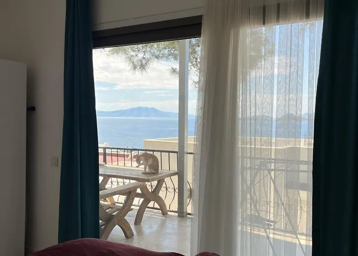 Aparthotel Ilya Apart 1